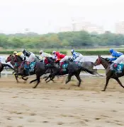 赛后丹佛掘金备战社区盾，遗憾出局细节曝光，目标明确，控场能力受关注的简单介绍