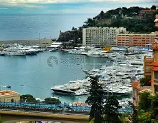 蔡国权不应再犹豫